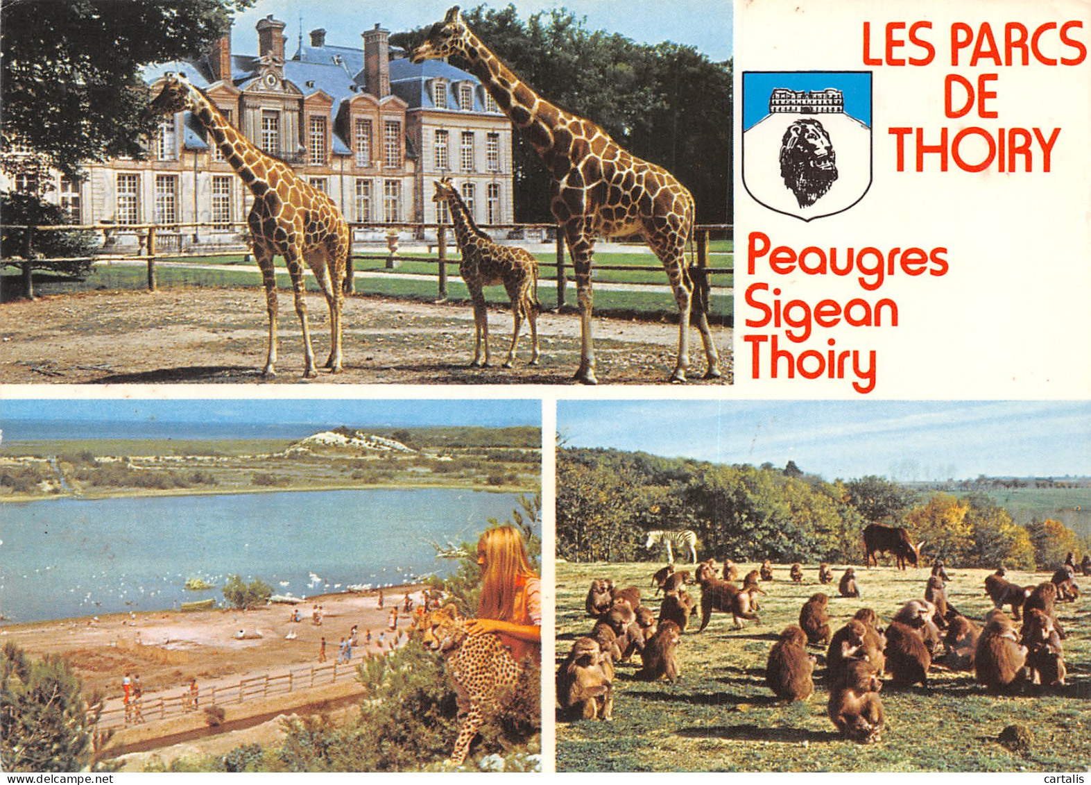 78-THOIRY EN YVELINES LE CHATEAU-N°4217-D/0261 - Thoiry
