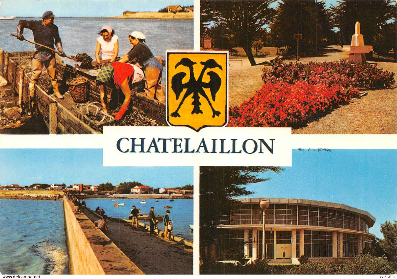 17-CHATELAILLON-N°4218-C/0337 - Châtelaillon-Plage