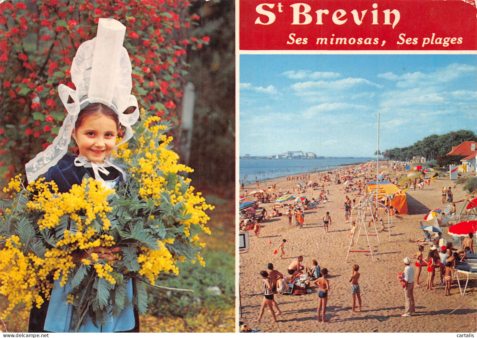 44-SAINT BREVIN-N°4218-C/0295 - Saint-Brevin-l'Océan