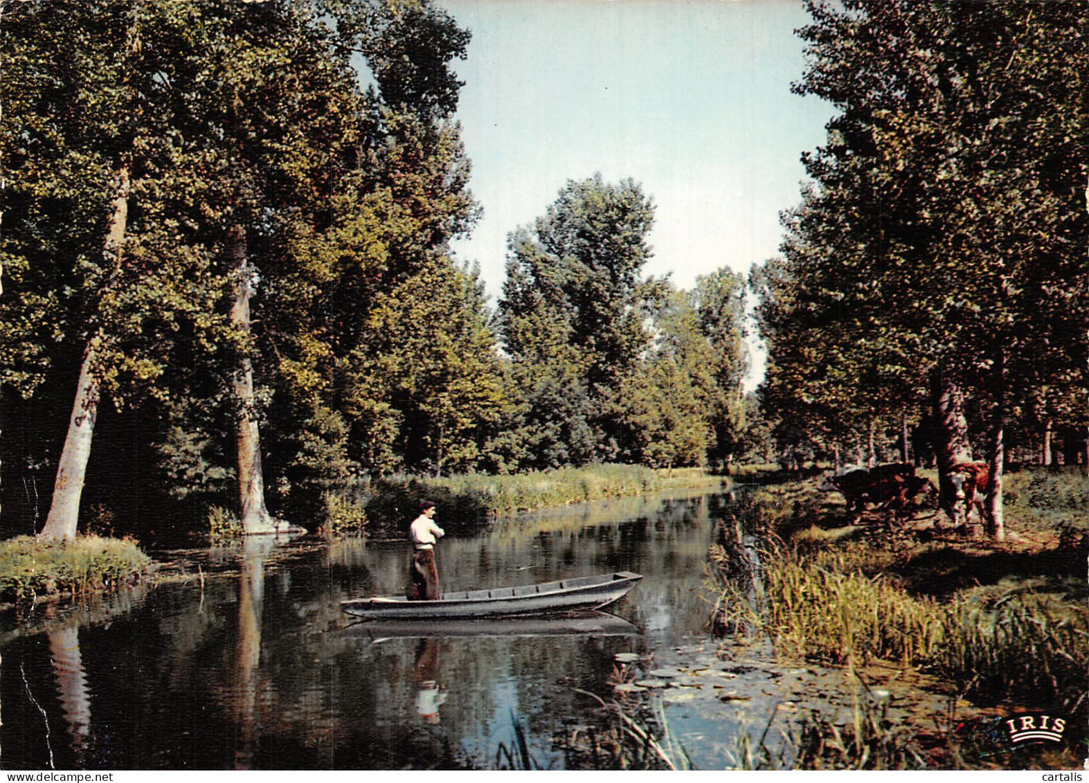 79-MARAIS POITEVIN-N°4218-C/0099 - Autres & Non Classés