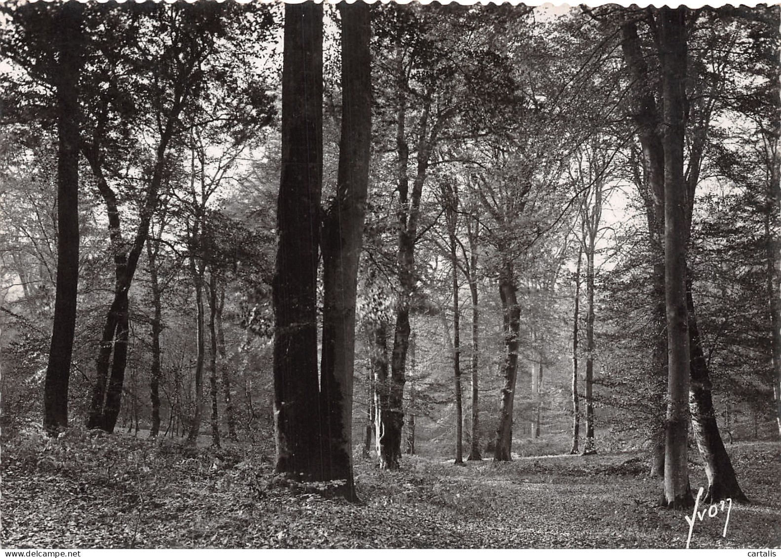 77-FONTAINEBLEAU-N°4218-C/0017 - Fontainebleau