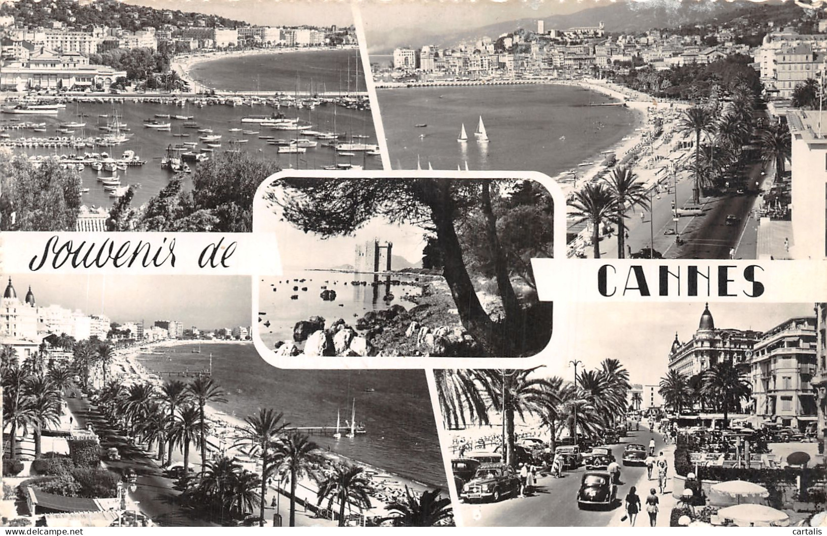 06-CANNES-N°4218-E/0053 - Cannes