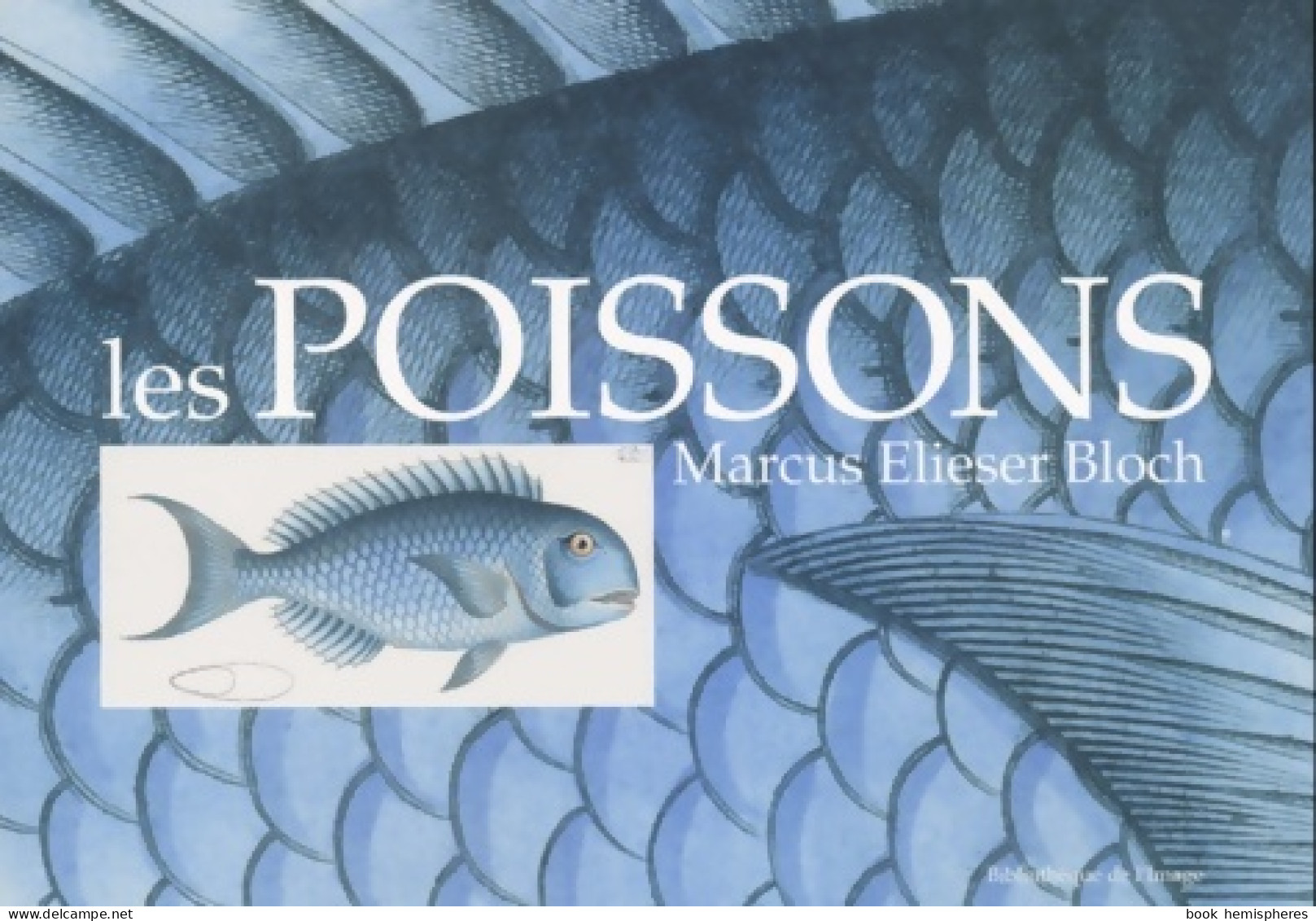 Les Poissons (2000) De Marcus-eliezer Bloch - Other & Unclassified
