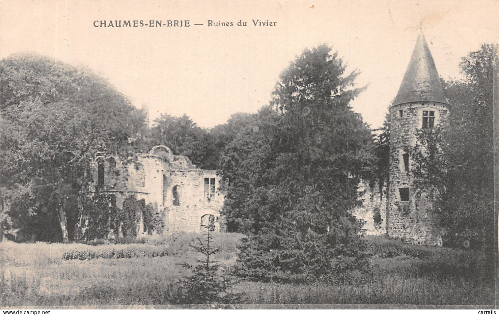 77-CHAUMES EN BRIE-N°4219-D/0239 - Sonstige & Ohne Zuordnung