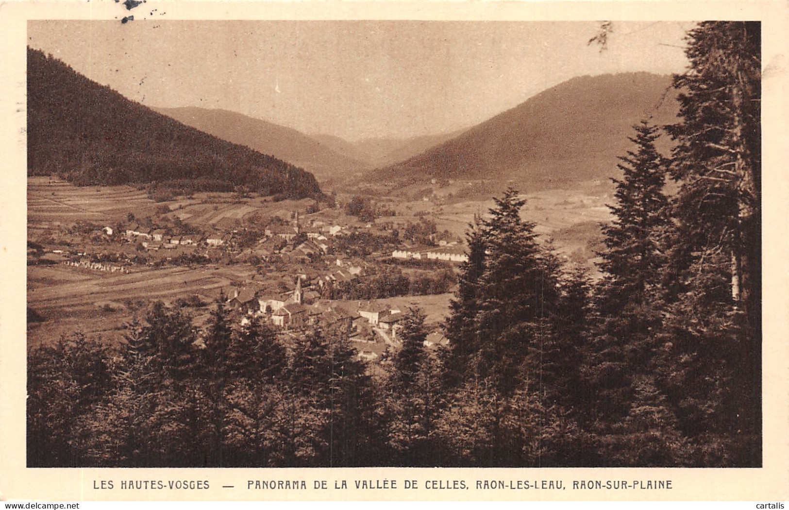 88-VALLEE DE CELLES-N°4219-D/0097 - Other & Unclassified