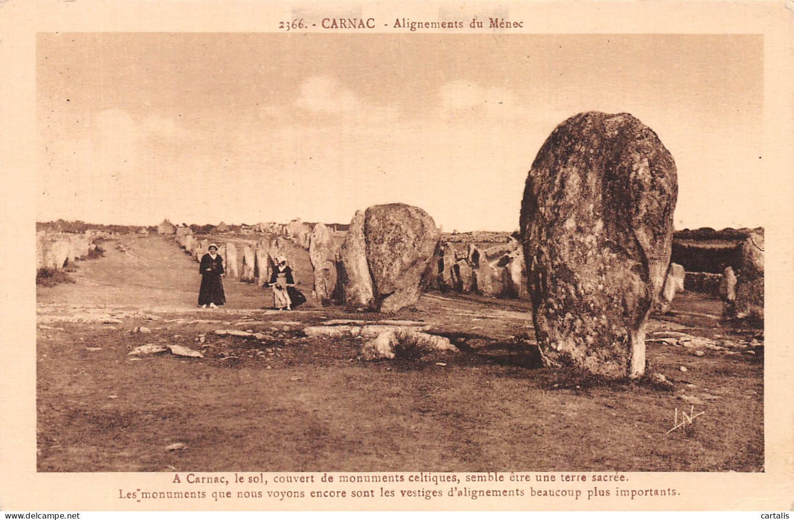 56-CARNAC-N°4219-D/0043 - Carnac