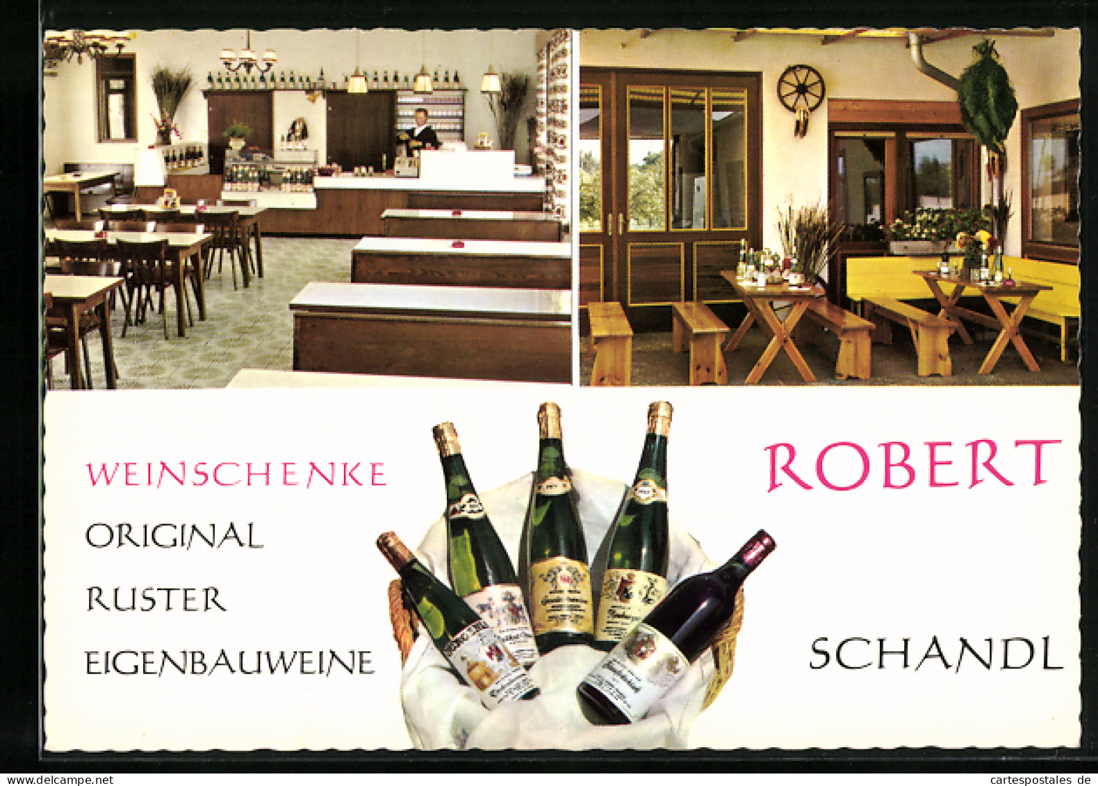 AK Rust, Gasthaus Und Weinschenke Robert Schandl, Krautgartenweg 25  - Autres & Non Classés