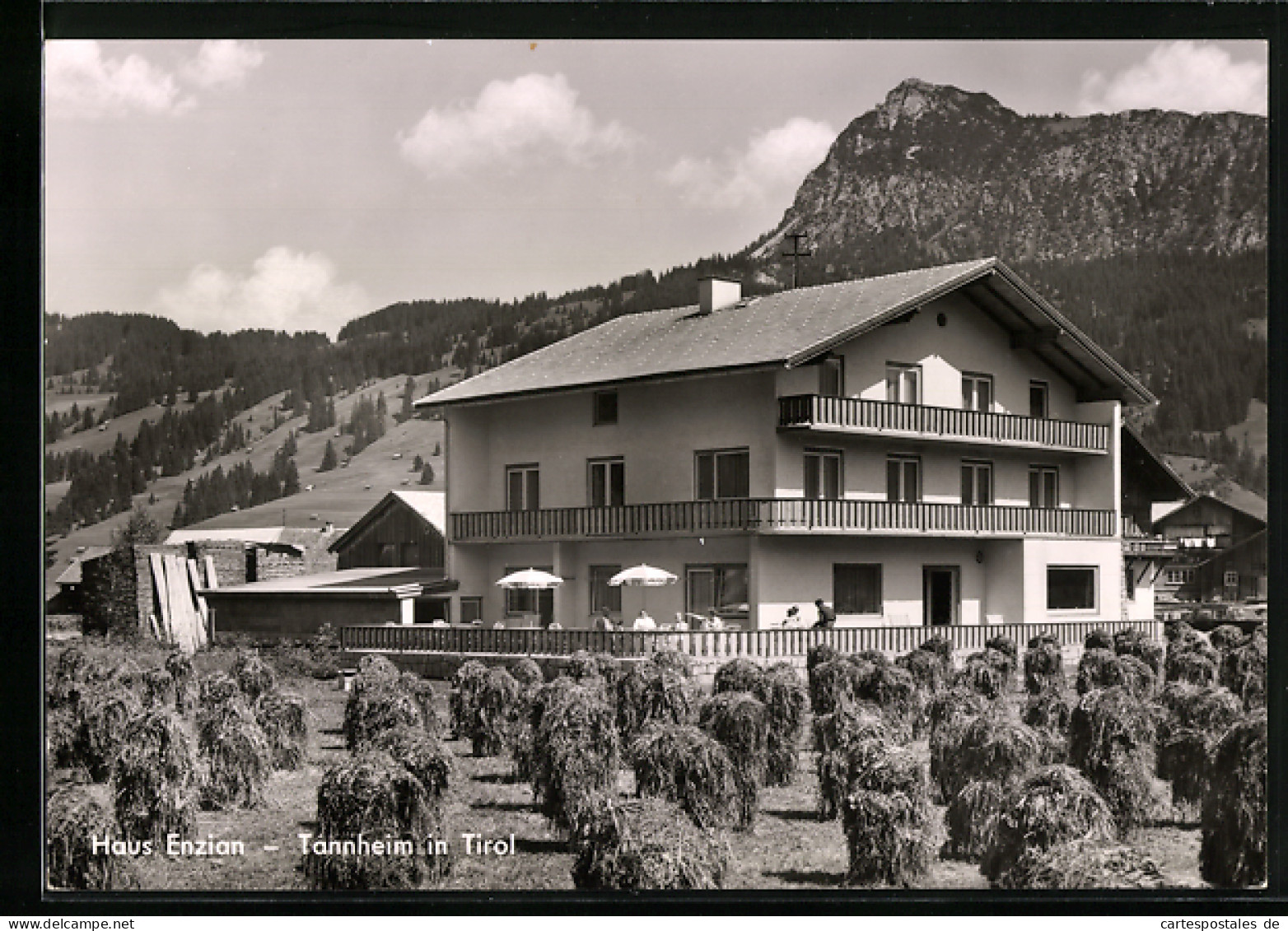AK Tannheim / Tirol, Hotel-Pension Haus Enzian  - Sonstige & Ohne Zuordnung