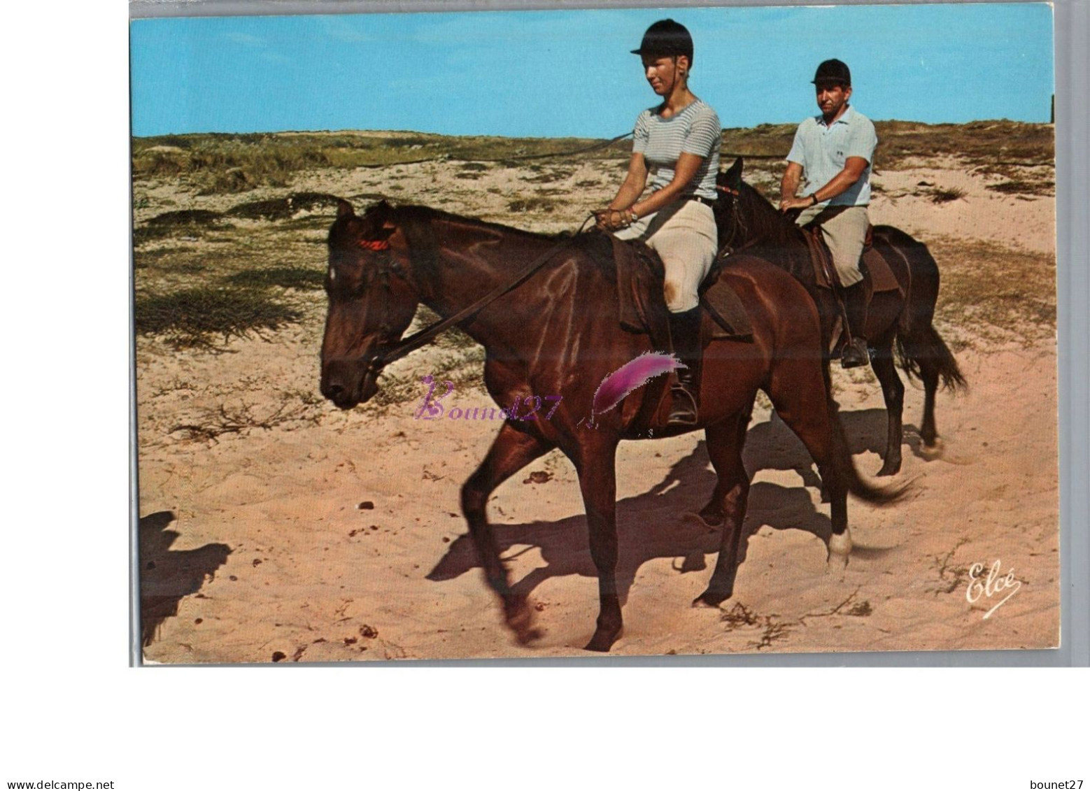 SEIGNOSSE LE PENON 40 - Promenade équestre Les Chevaux Du Centre LE GARDIAN Cheval Dune Carte Vierge - Other & Unclassified