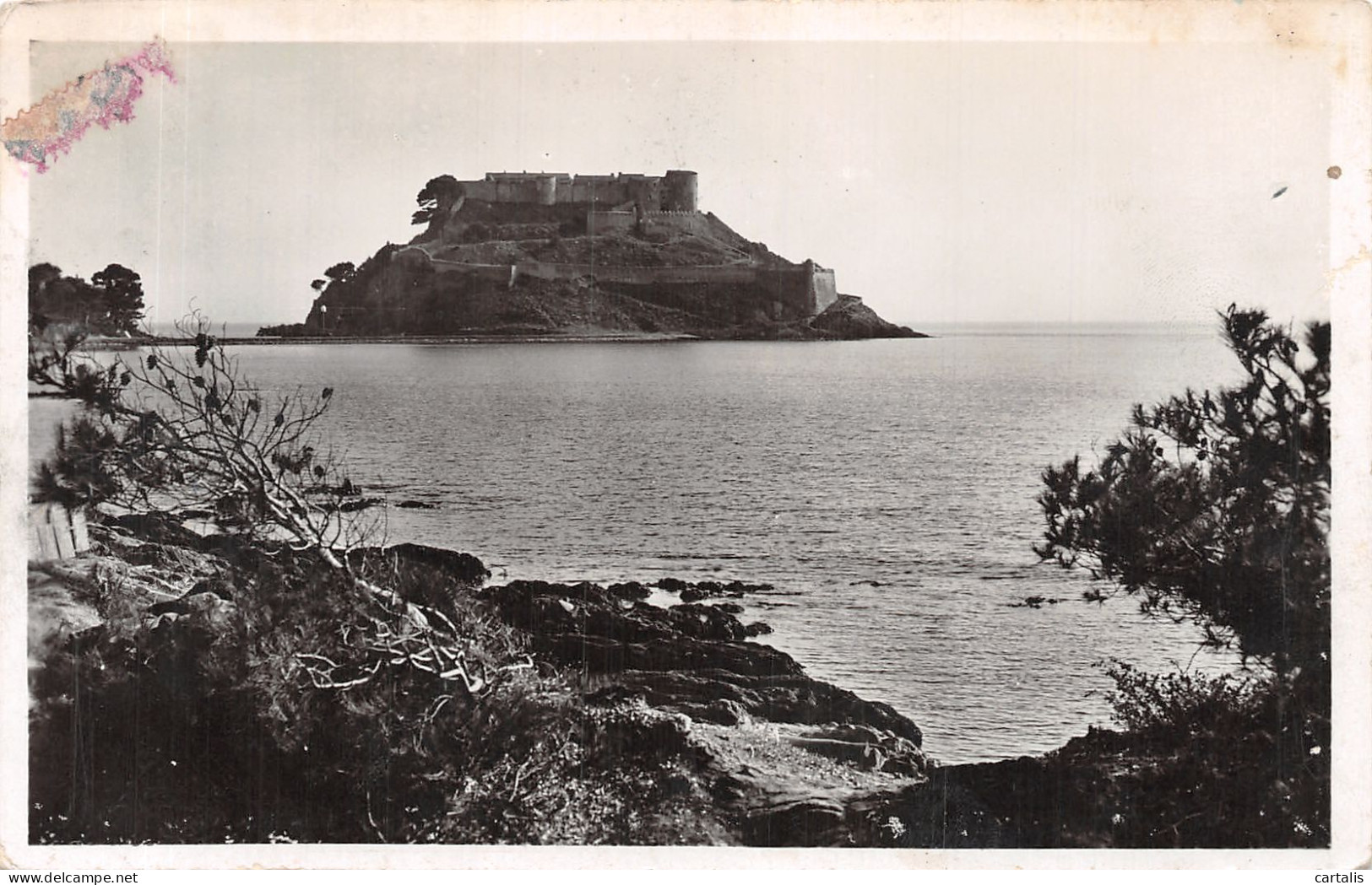 83-LE LAVANDOU-N°4220-A/0215 - Le Lavandou