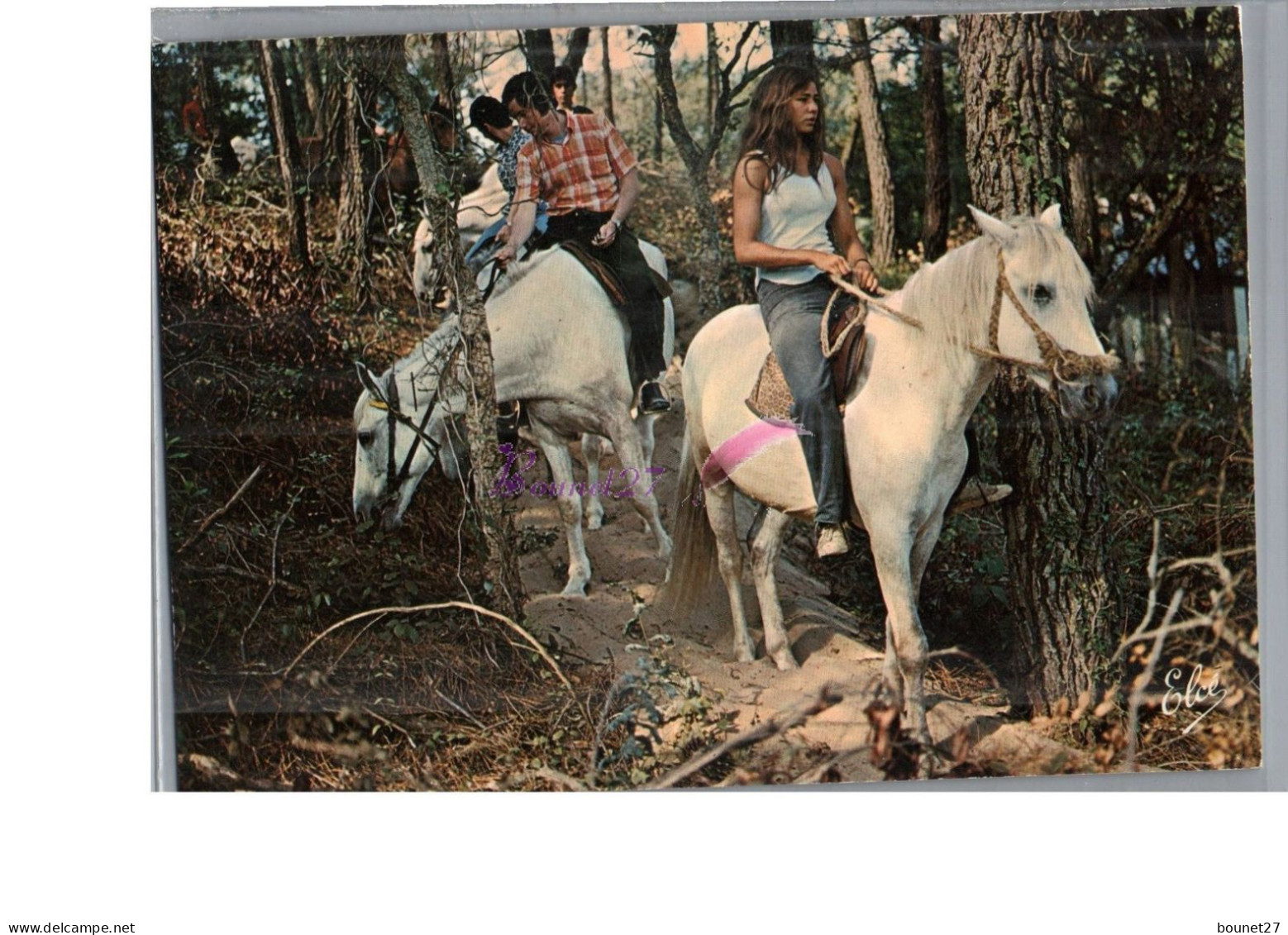 SEIGNOSSE LE PENON 40 - Promenade équestre Les Chevaux Du Centre LE GARDIAN Cheval Forêt Landaise Carte Vierge - Sonstige & Ohne Zuordnung