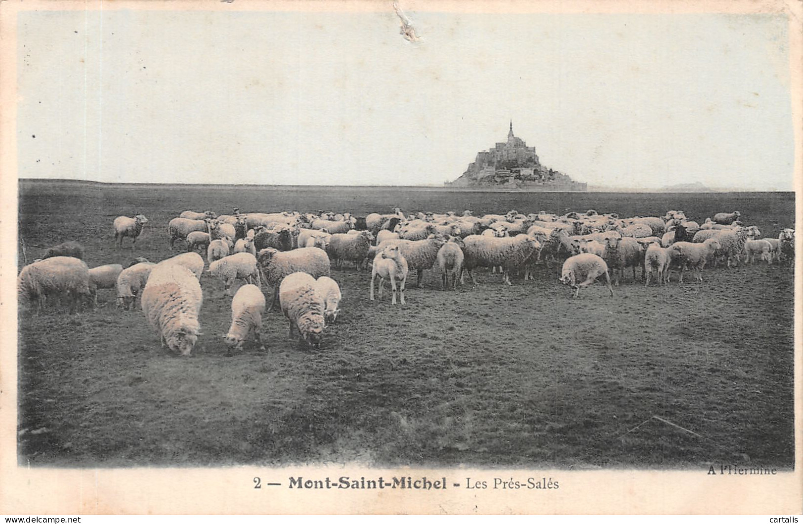50-MONT SAINT MICHEL-N°4219-H/0183 - Le Mont Saint Michel