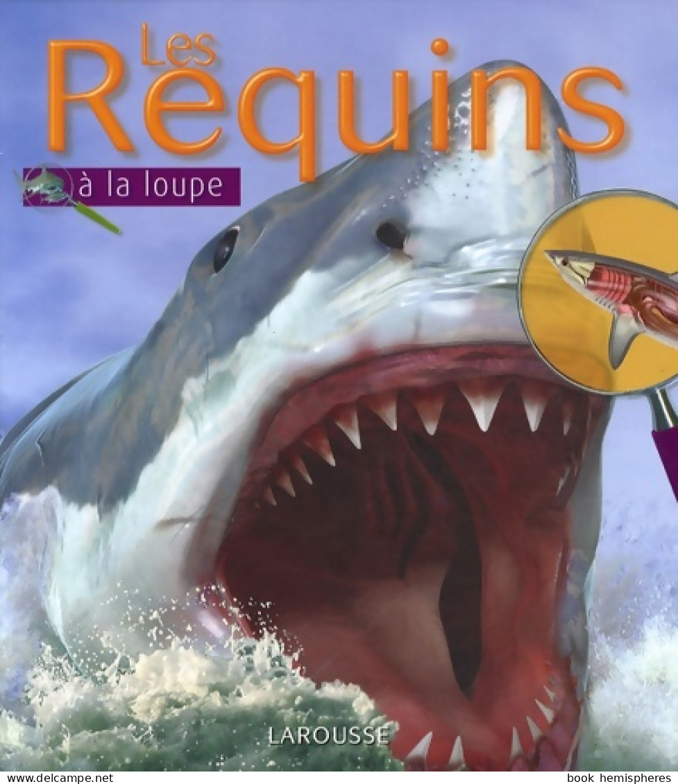 Les Requins (2009) De Beverly McMillan - Tiere