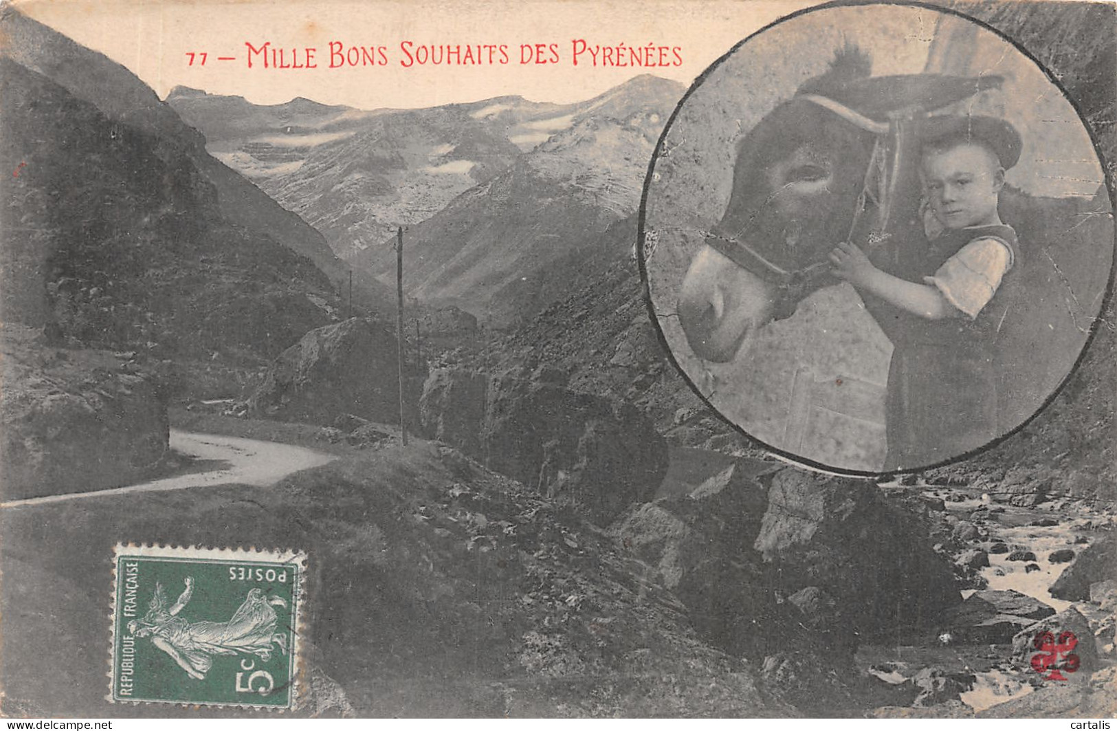 65-LES PYRENEES ANE-N°4220-E/0057 - Altri & Non Classificati