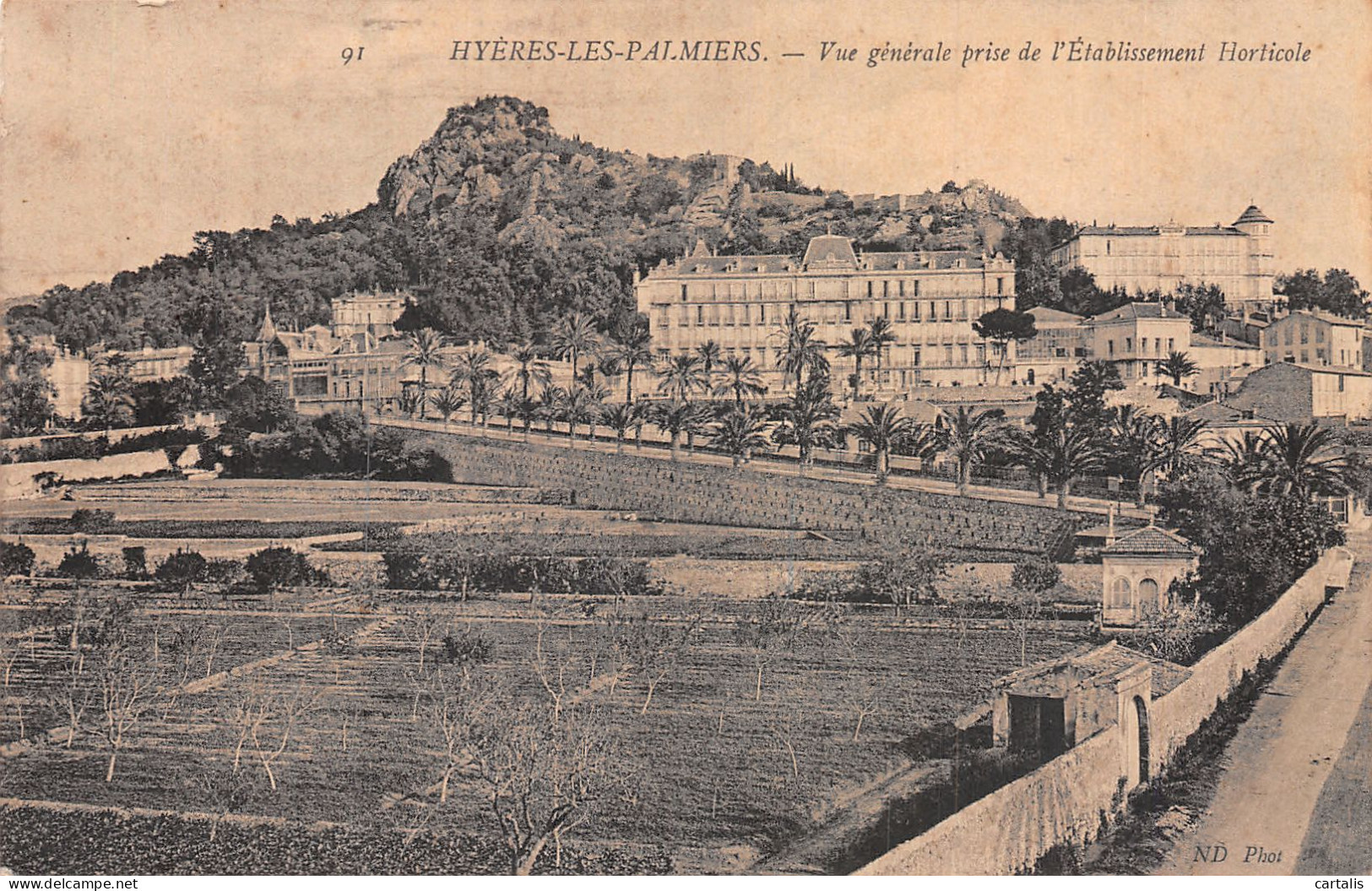 83-HYERES LES PALMIERS-N°4220-H/0213 - Hyeres