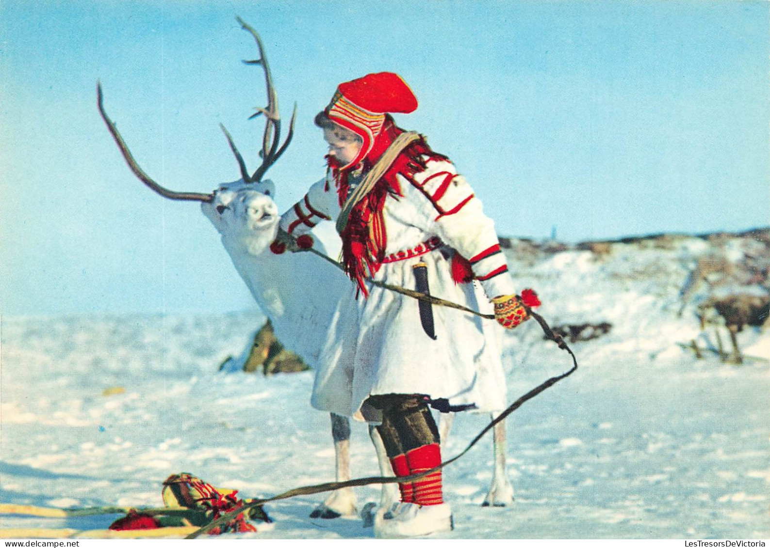 NORVEGE  - A Lappgirl And A Reindeer - Animé - Colorisé - Carte Postale - Norway