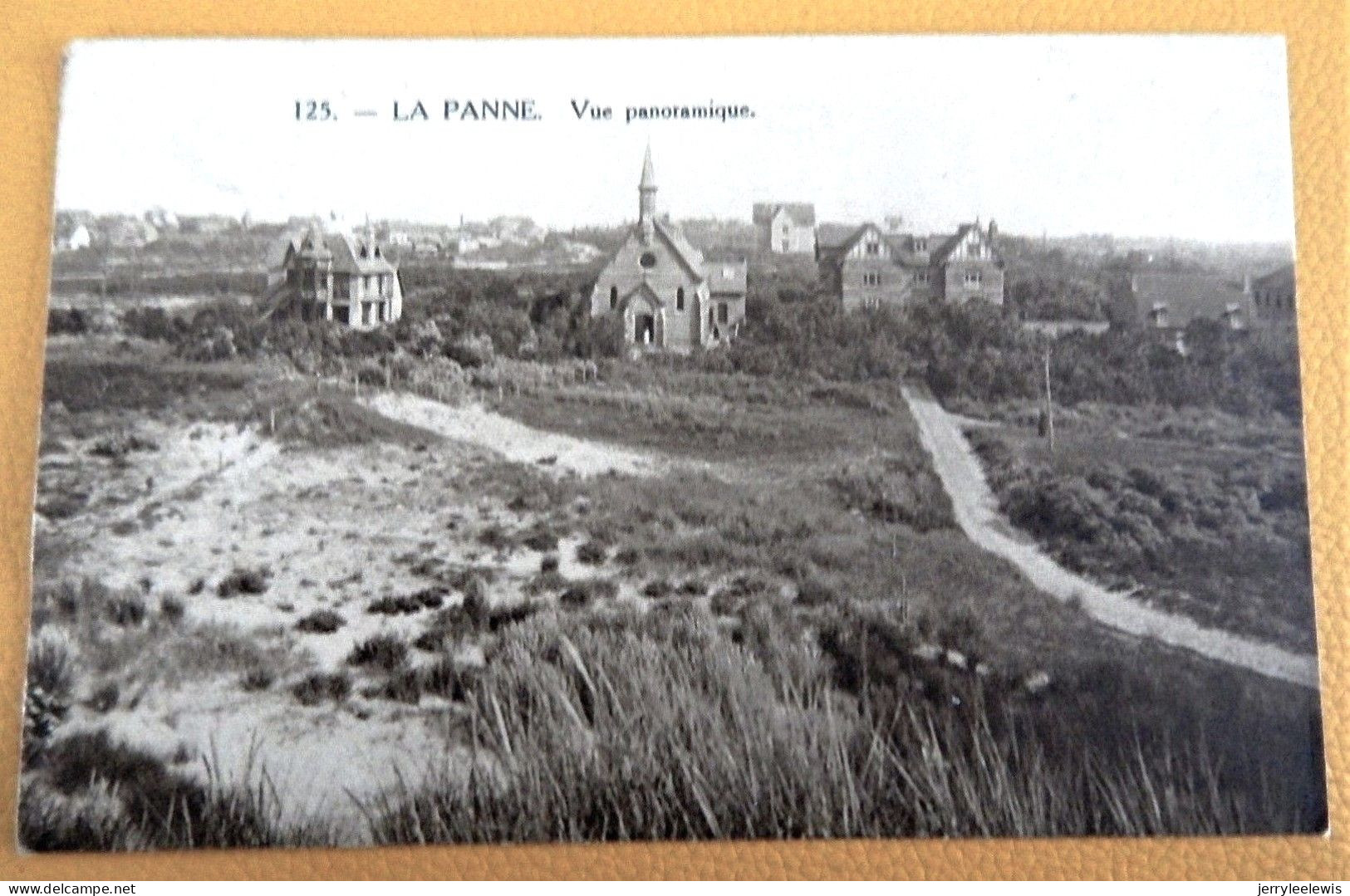 DE PANNE  -  LA PANNE  -  Panorama - De Panne