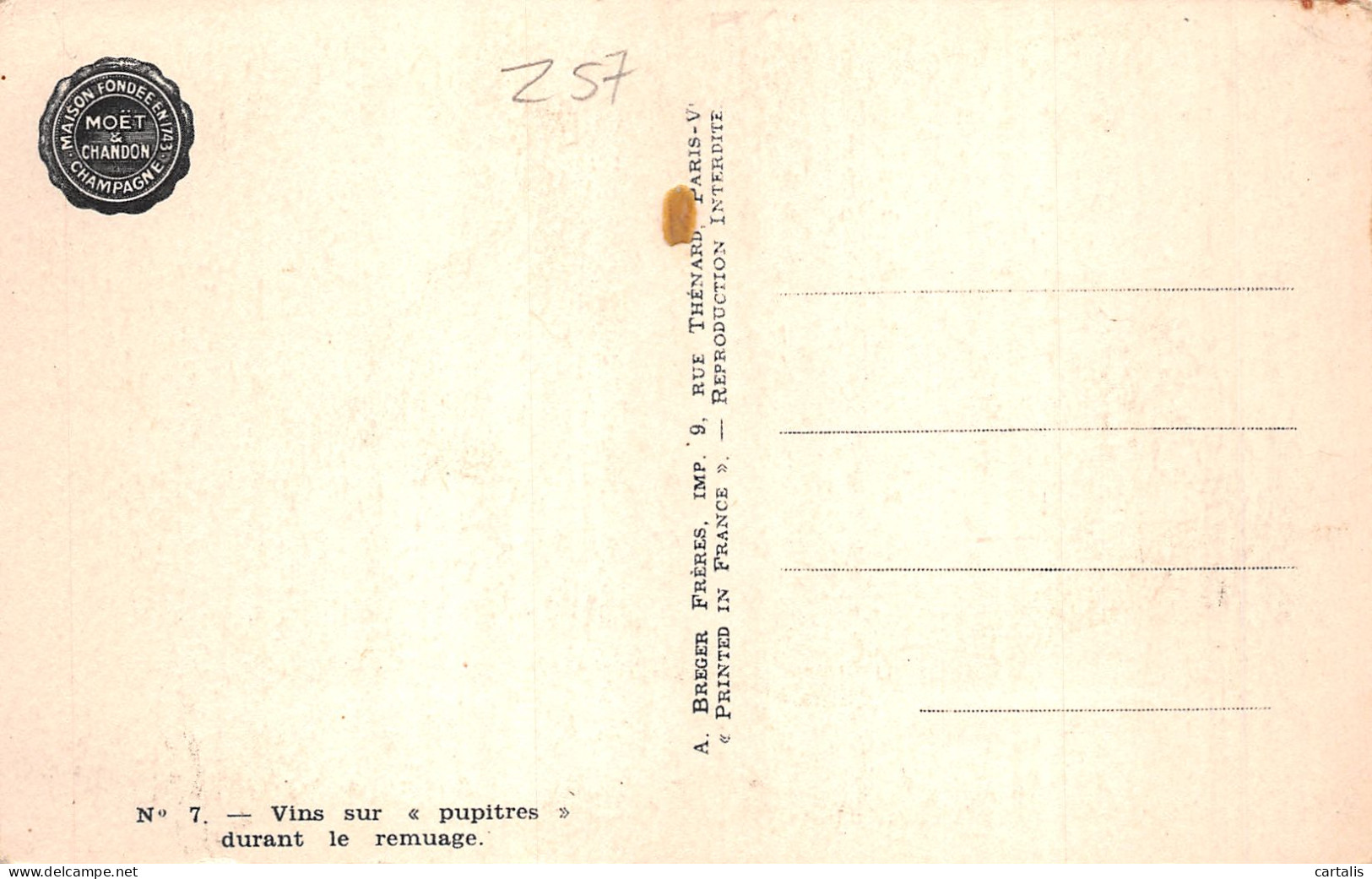 51-VINS DURANT LE REMUAGE-N°4221-F/0141 - Autres & Non Classés