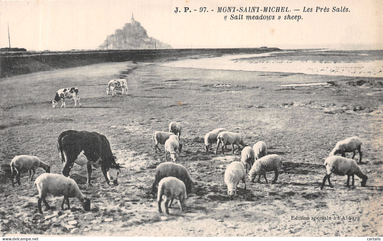 50-LE MONT SAINT MICHEL-N°4221-F/0149 - Le Mont Saint Michel