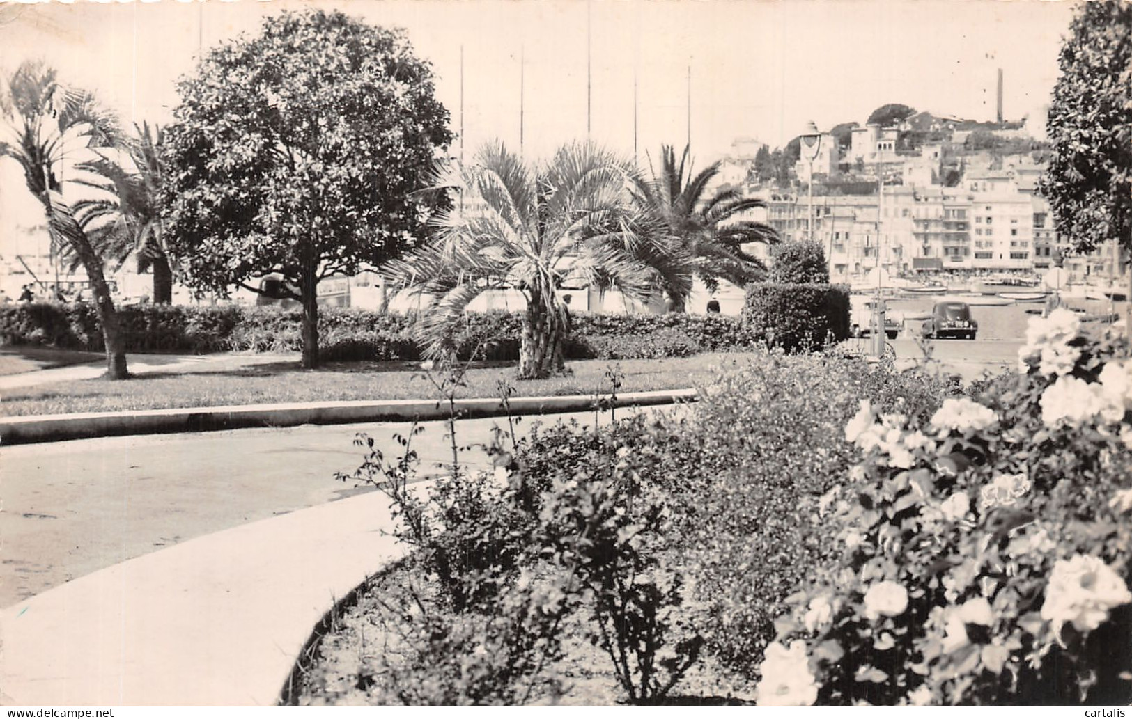 06-CANNES-N°4221-E/0249 - Cannes