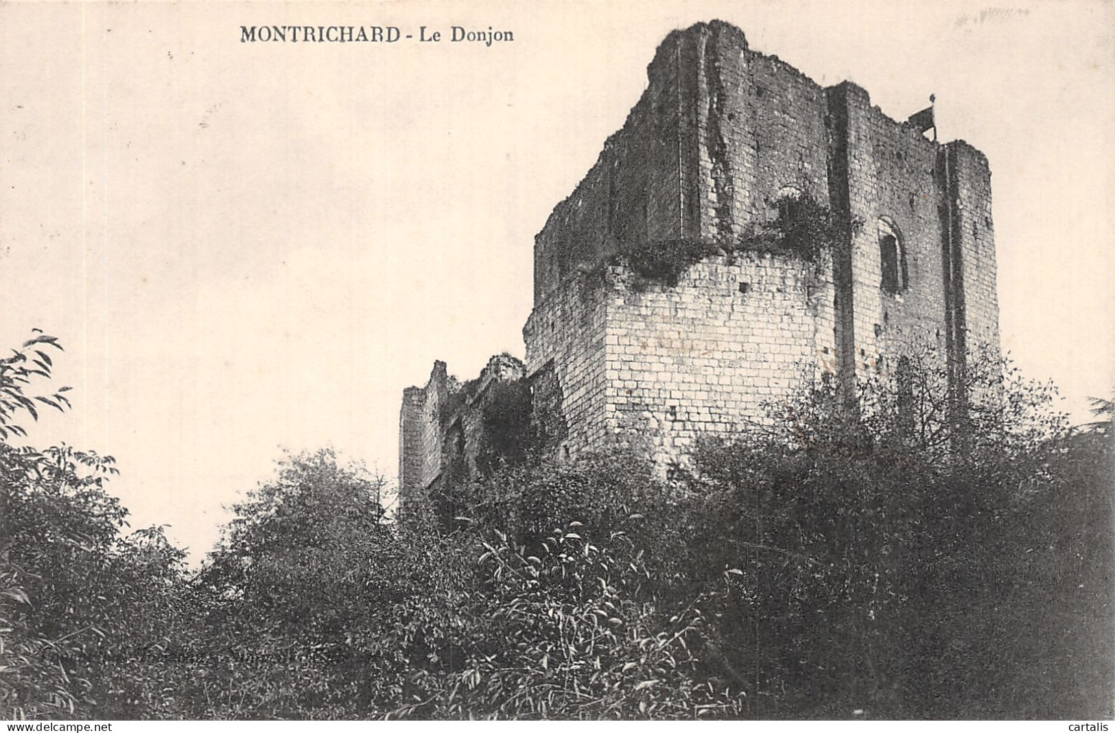 41-MONTRICHARD-N°4221-E/0163 - Montrichard