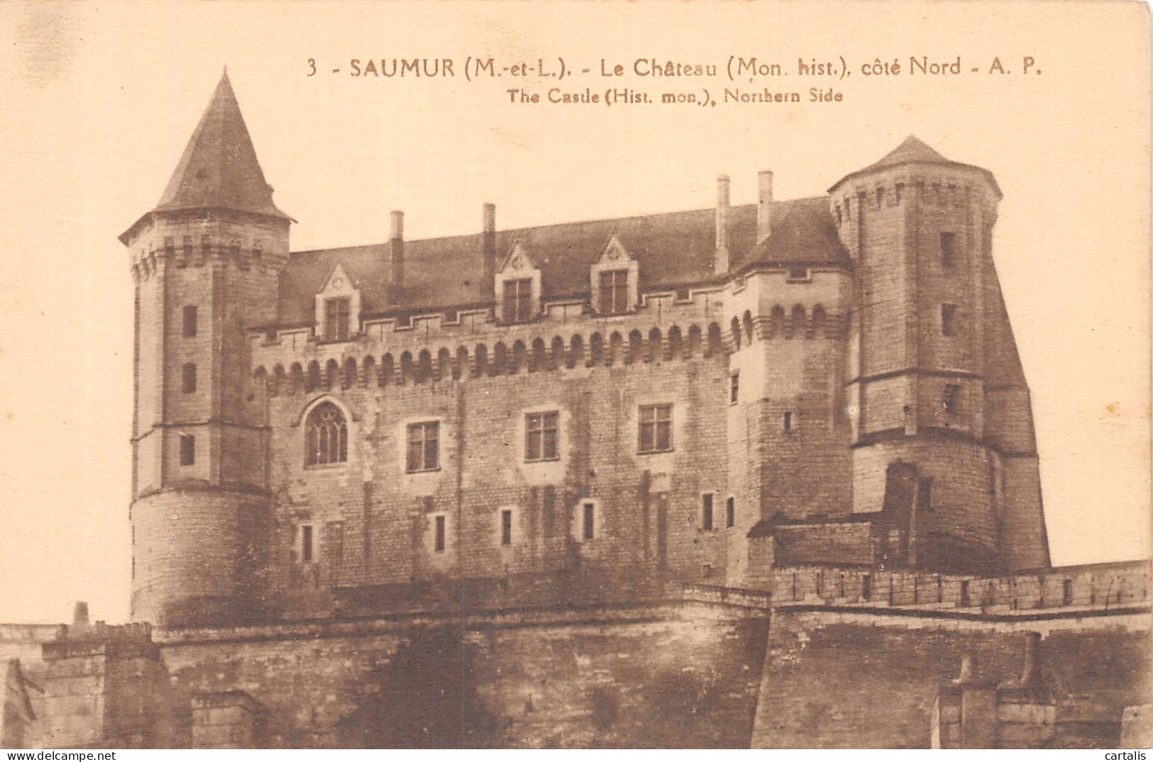 49-SAUMUR-N°4221-G/0305 - Saumur