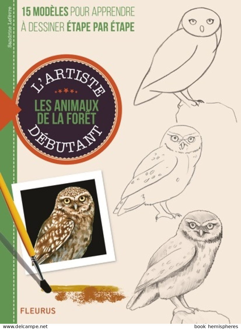 Les Animaux De La Forêt : 15 Modèles Pour Apprendre à Dessiner étape Par étape (2014) De Sandrine Lefebvre - Garten