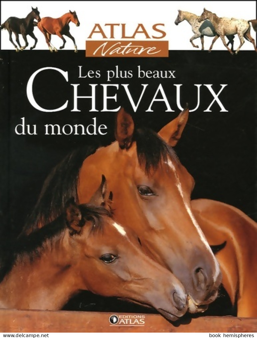 Les Plus Beaux Chevaux Du Monde (2005) De Glénat - Tiere