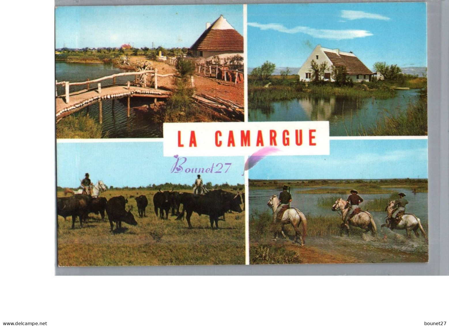 CAMARGUE - FOLKLORE - Lumière Et Tradition Maison Taureau Cheval Gardian Dans Les Marais La Croix - Other & Unclassified