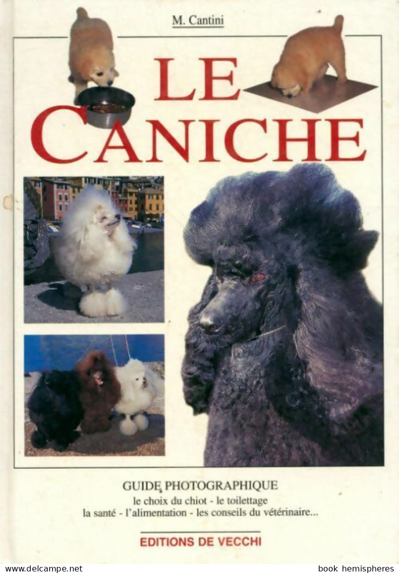 Le Caniche (2002) De Micaela Cantini - Animaux