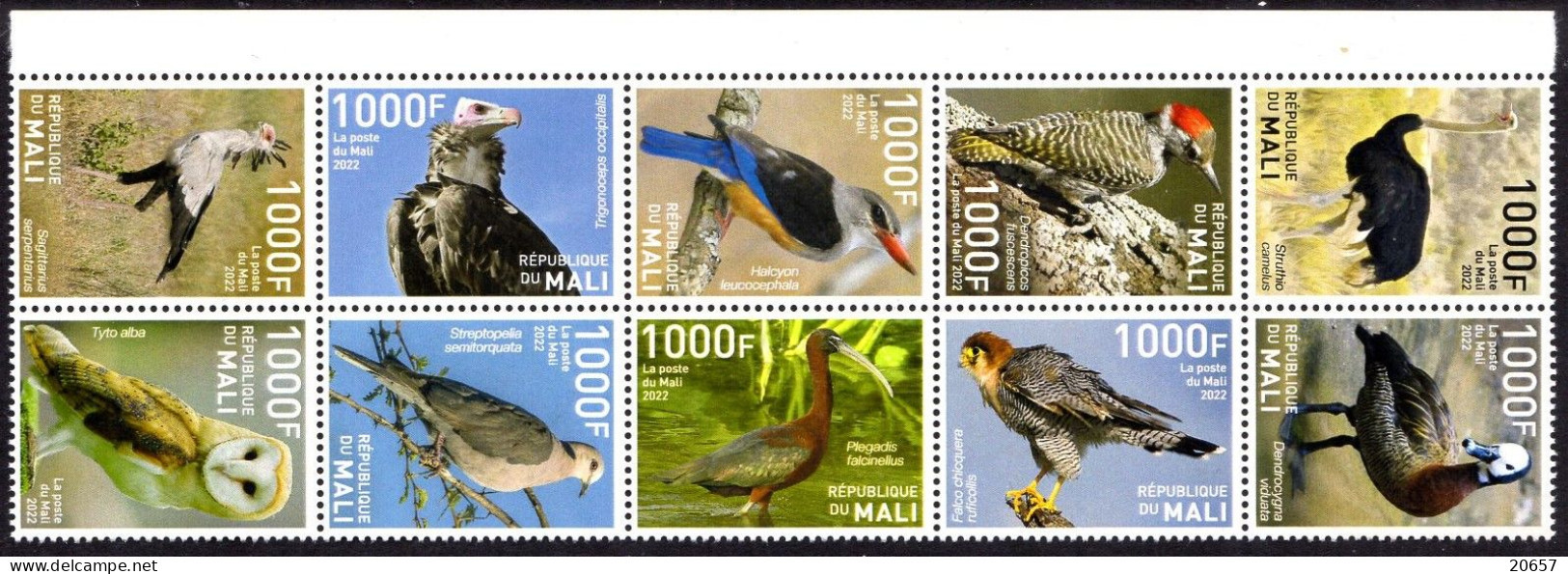 Mali 2022 Autruche, Canard, Martin-pêcheur, Serpentaire, Vautour, Hibou, Pigeon, Faucon - Altri & Non Classificati