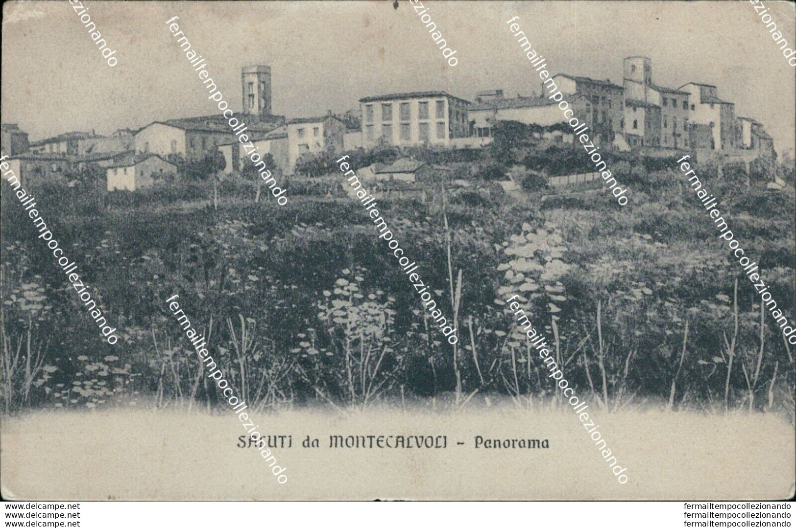 As602 Cartolina Saluti Da Montecalvoli Panorama Provincia Di Pisa - Pisa