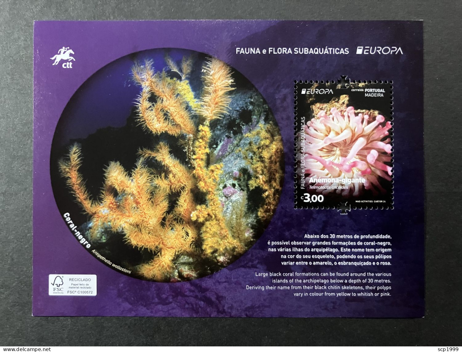 Portugal 2024 - Europa Underwater Life. Madeira S/S MNH - Neufs