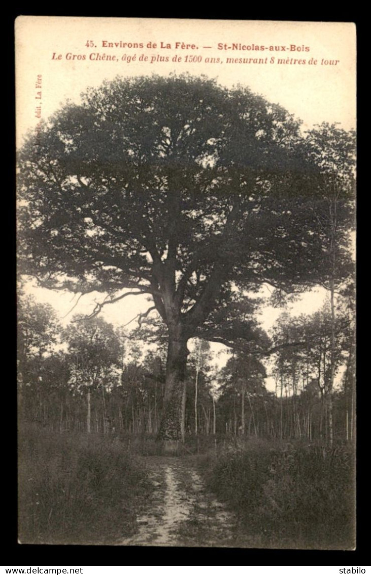 02 - ST-NICOLAS-AUX-BOIS - LE GROS CHENE - ARBRE NOMME - Autres & Non Classés