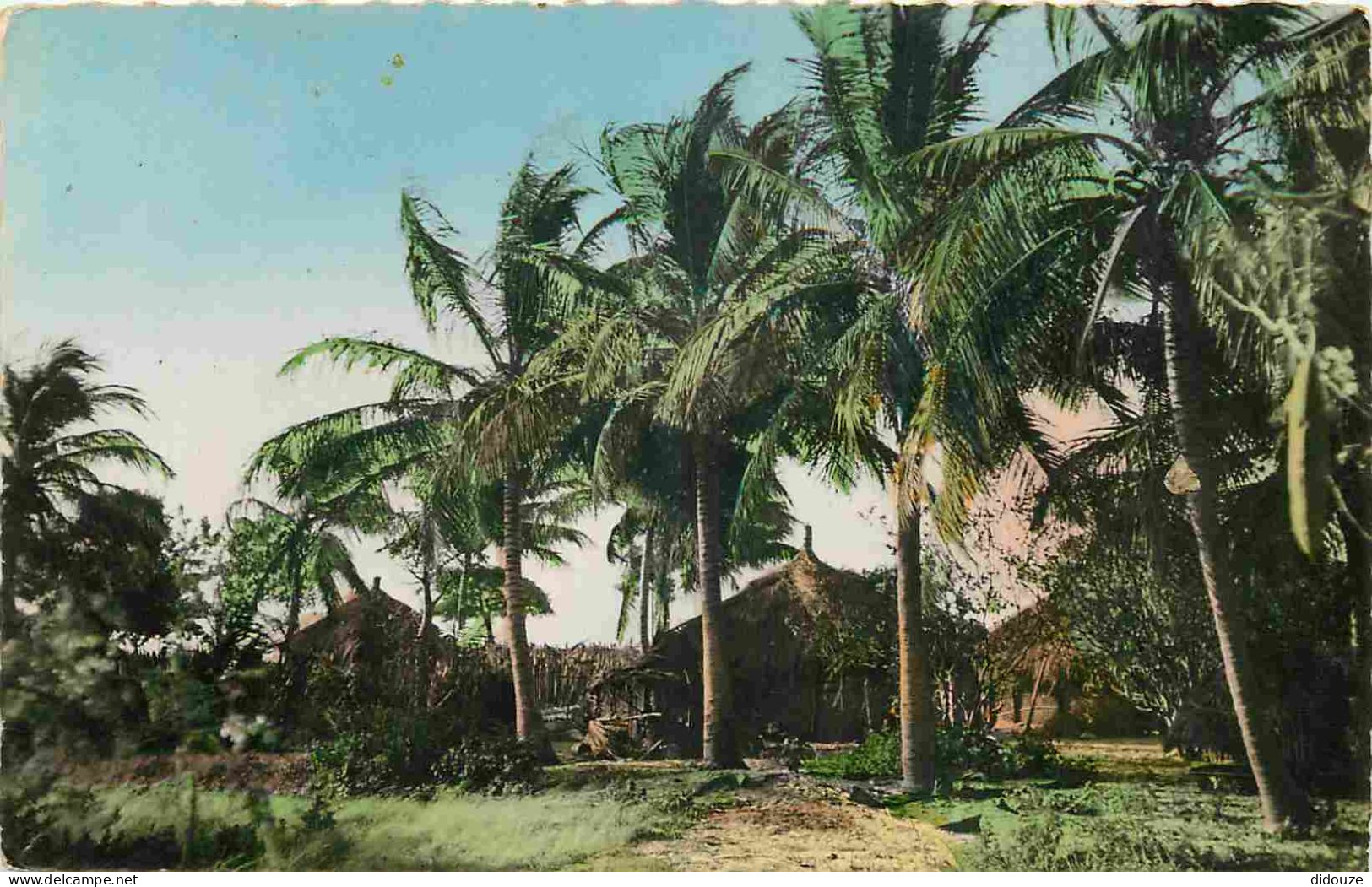 Sénégal - Cases Sous Les Cocotiers - Colorisée - Mention Photographie Véritable - Carte Dentelée - CPSM Format CPA - Voi - Sénégal