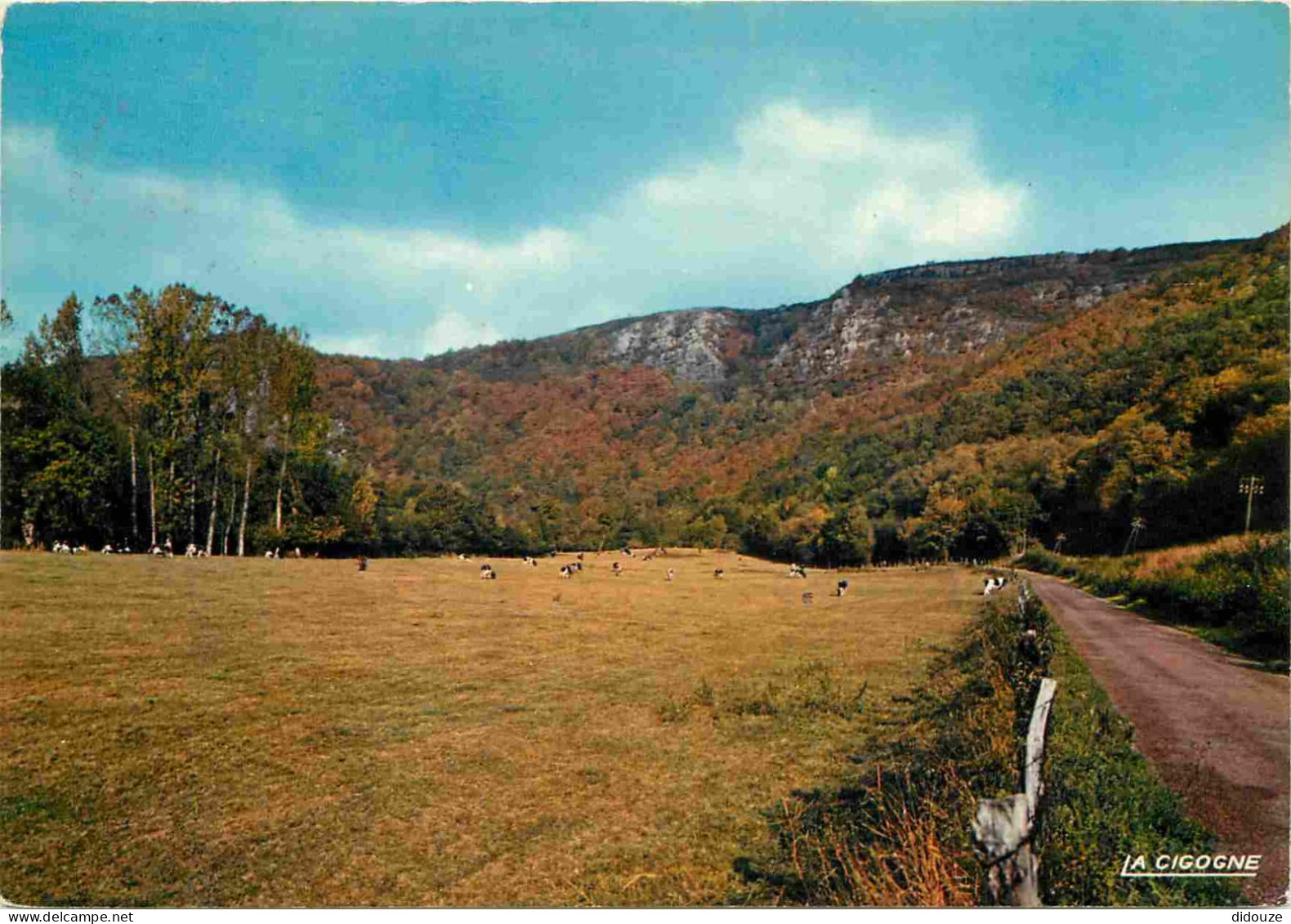 14 - Clécy - Site Agréable Près De Clécy - La Suisse Normande - CPM - Voir Scans Recto-Verso - Clécy