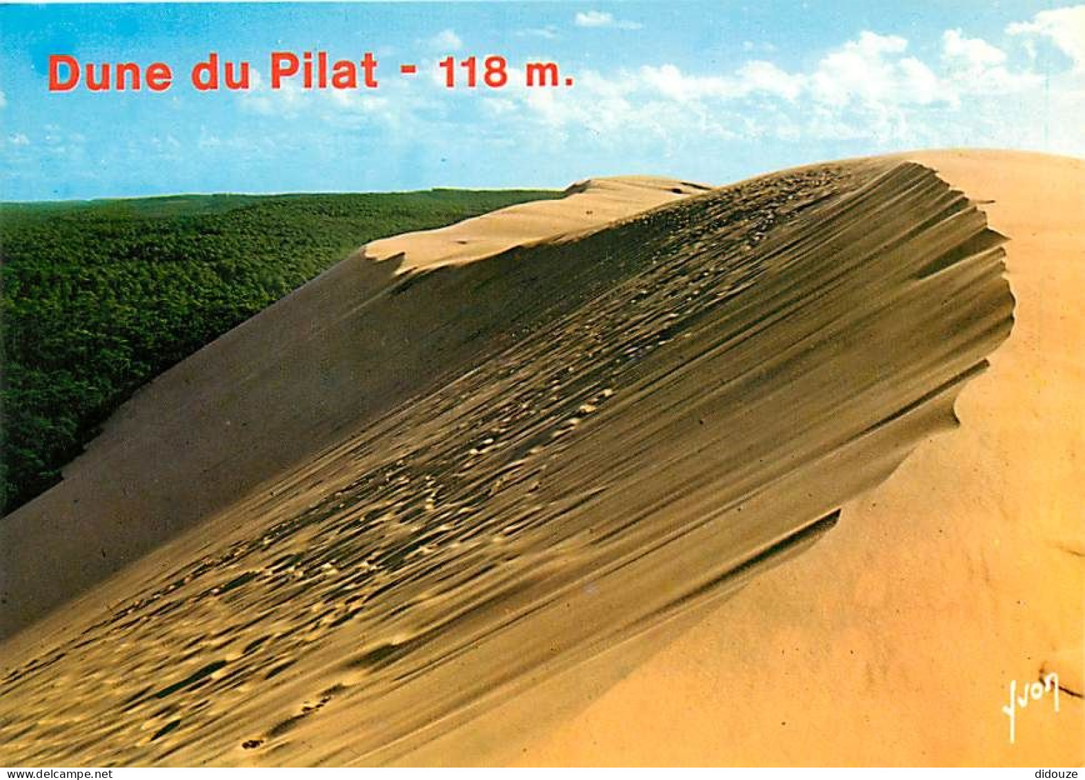 33 - Dune Du Pyla - Carte Neuve - Bassin D'Arcachon - CPM - Voir Scans Recto-Verso - Other & Unclassified