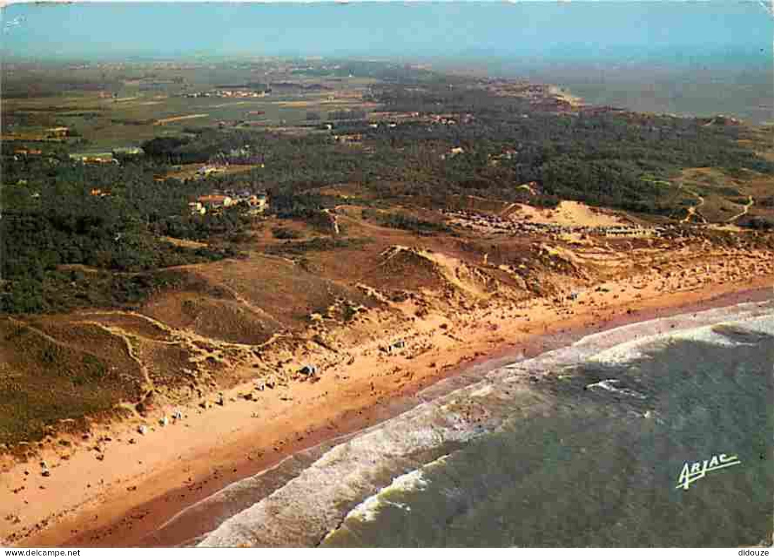 17 - Ile D'Oléron - La Belle Plage Des Sables-Vignier - Vue Aérienne - Editeur Arjac - CPM - Voir Scans Recto-Verso - Ile D'Oléron