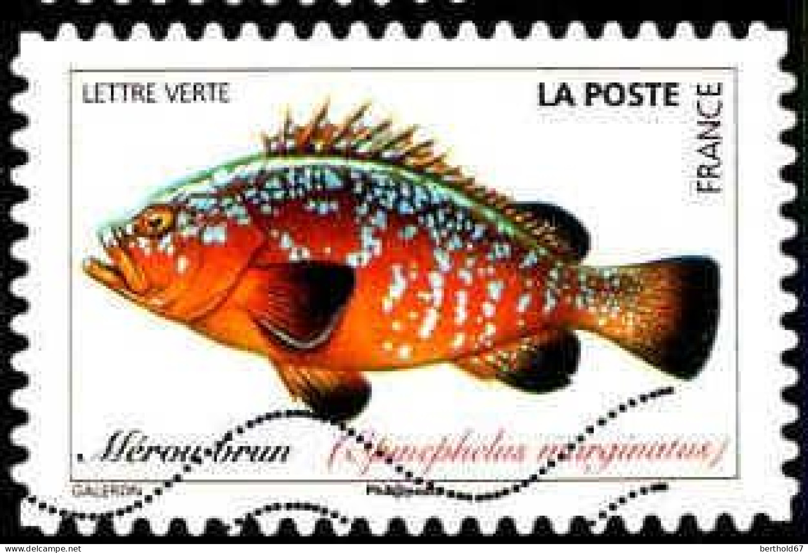 France Poste AA Obl Yv:1691 Mi:7270 Mérou Brun Epinephelus Marginatus (Lign.Ondulées) - Used Stamps
