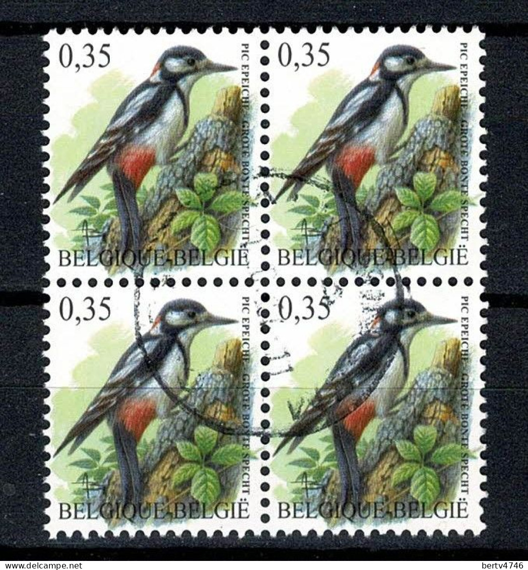 Belg. 2003 - 3162, Yv 3158 Grote Bonte Specht / Pic épeiche - Used Stamps