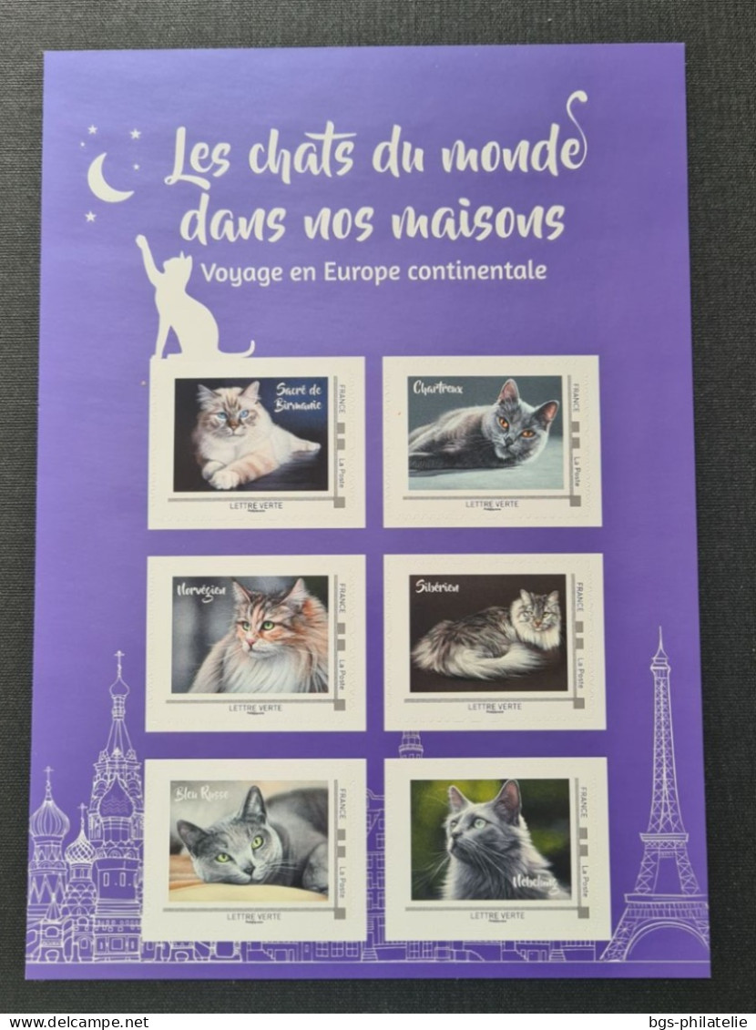 Chat, Carnet De Timbres Neufs. - Domestic Cats