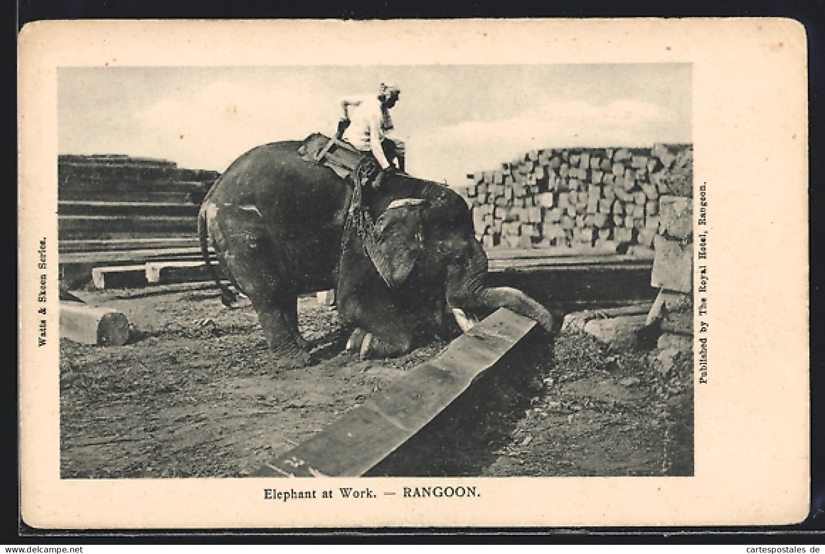 AK Rangoon, Elephant At Work  - Elephants