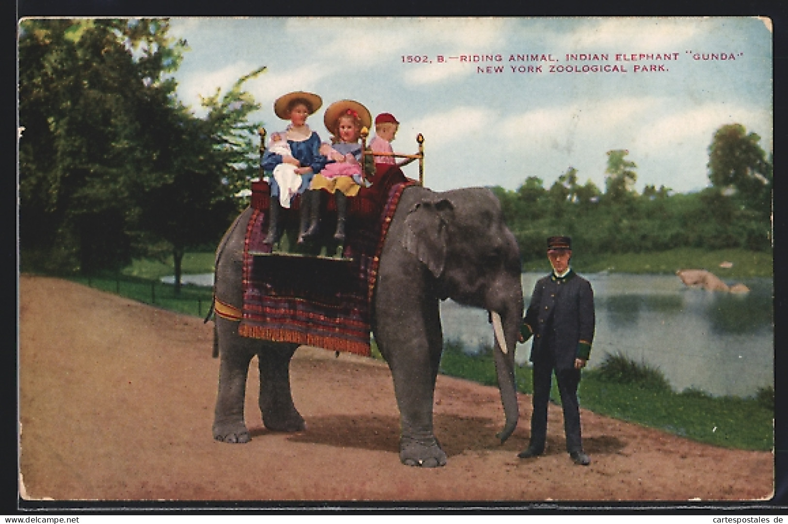 AK New York, Zoo, Riding Animal Elephant Gunda  - Elefanten