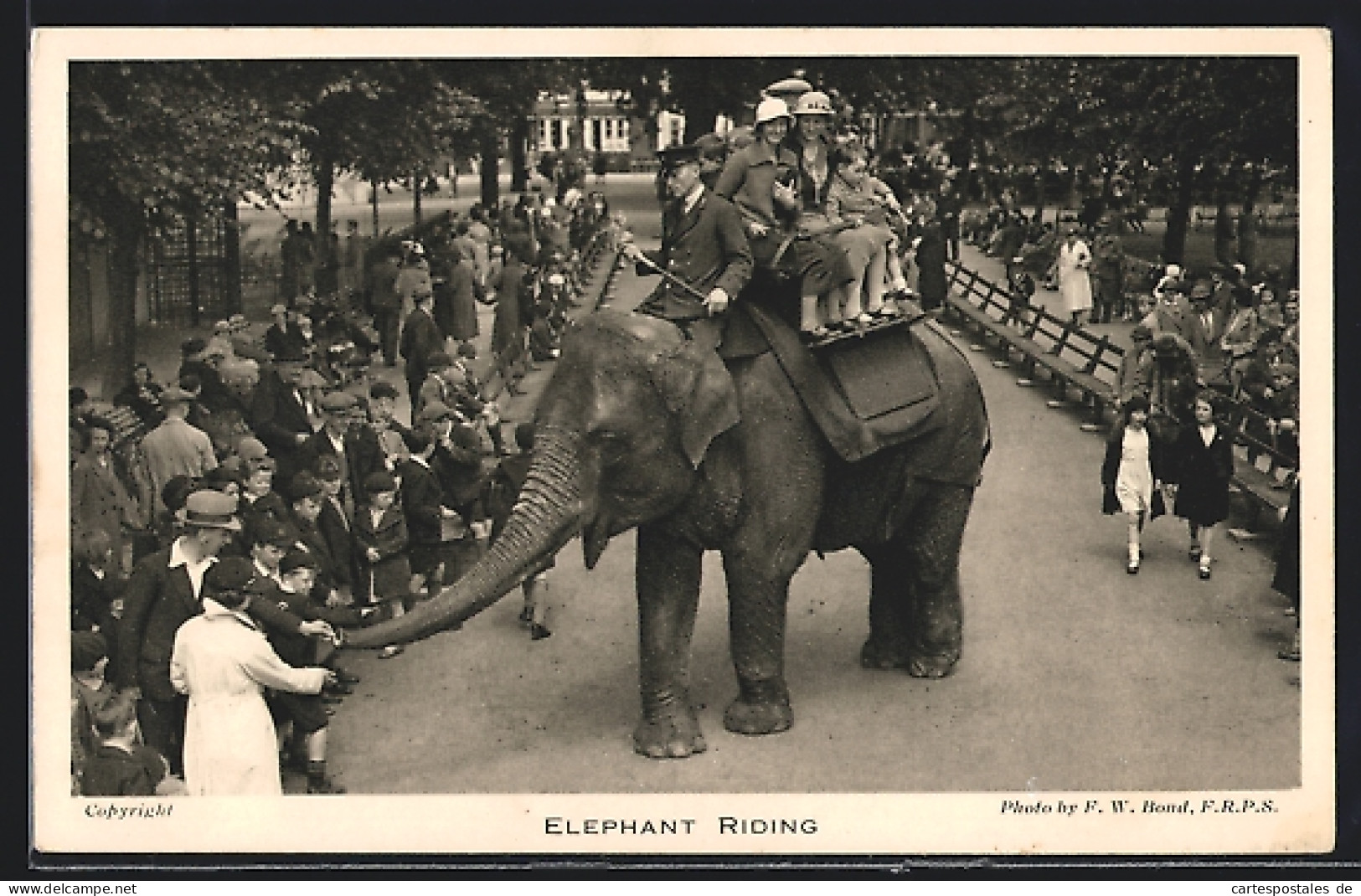 AK London, Garden Of The Zoological Society, Regent`s Park, Elephant Riding  - Elefanten