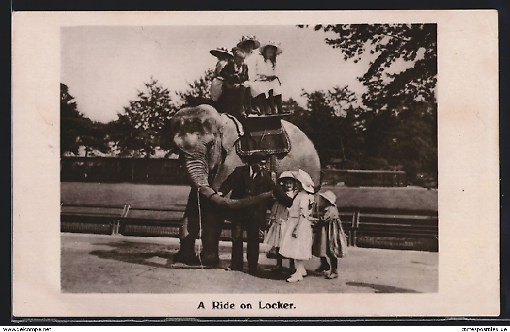 AK A Ride On Locker  - Éléphants