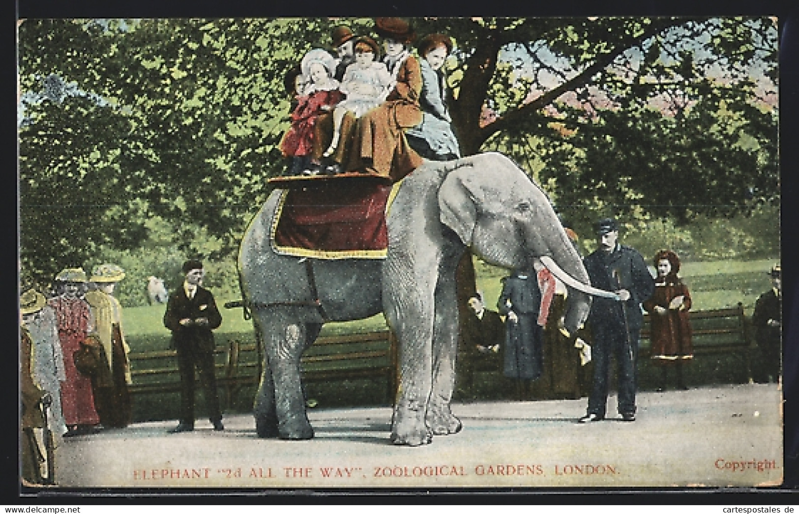AK London, Zoo, Elephant 2nd All The Way  - Elephants