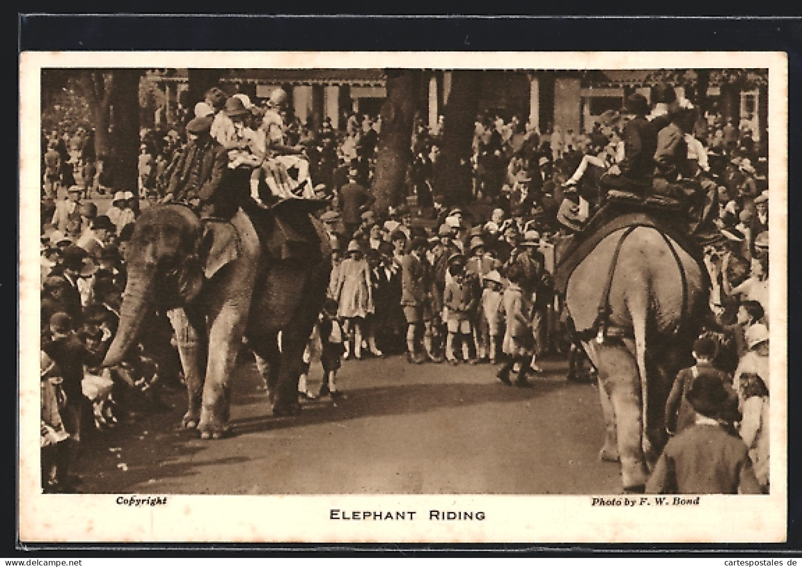 AK Zoo-Besucher Reiten Auf Elefanten  - Éléphants
