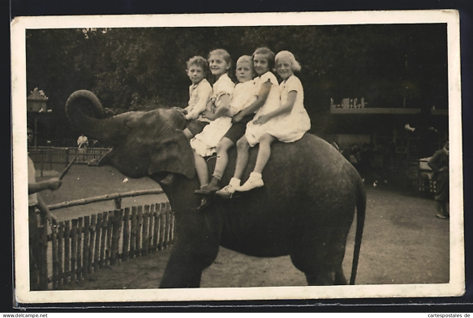 Foto-AK Fröhliche Kindergruppe Auf Einem Elefantenrücken  - Elefanten
