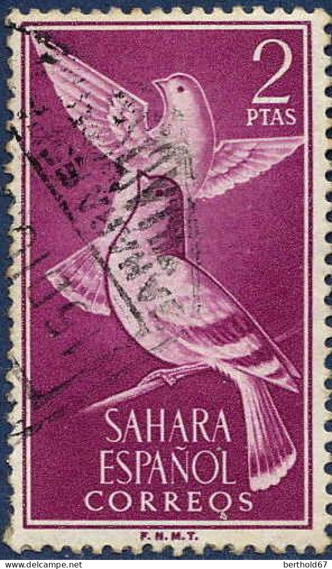 Sahara Esp. Poste Obl Yv:172 Mi:218 Columba Livia Ed:185 (TB Cachet Rond) - Spanische Sahara