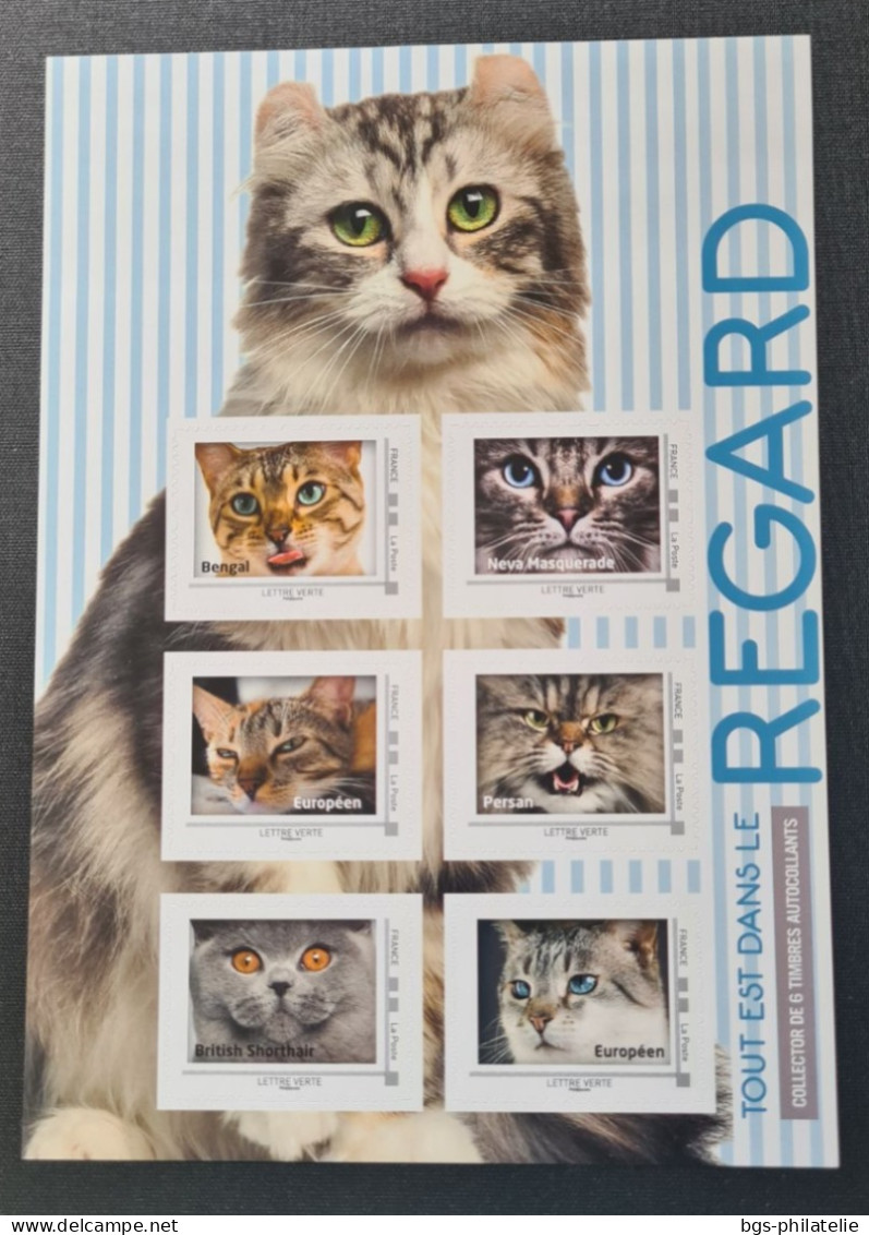 Chat, Carnet De Timbres Neufs. - Gatti